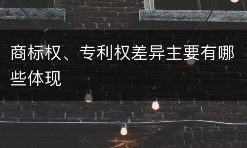 商标权、专利权差异主要有哪些体现