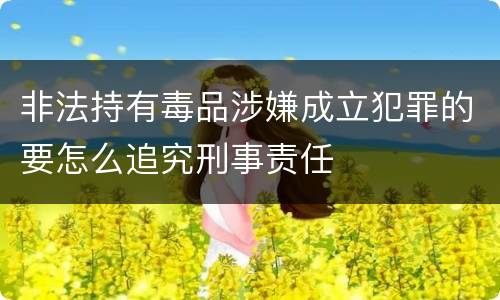 非法持有毒品涉嫌成立犯罪的要怎么追究刑事责任