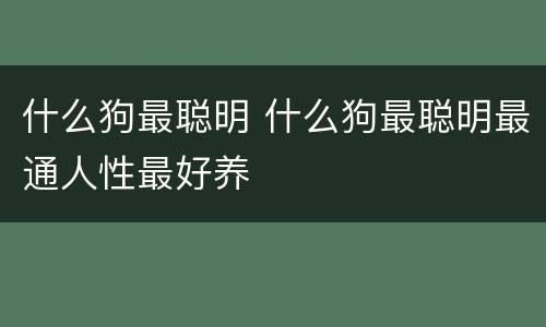 什么狗最聪明 什么狗最聪明最通人性最好养
