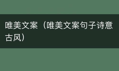 唯美文案（唯美文案句子诗意古风）