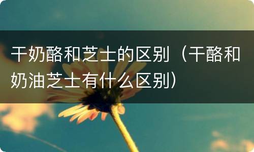 干奶酪和芝士的区别（干酪和奶油芝士有什么区别）