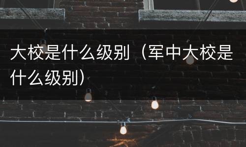 大校是什么级别（军中大校是什么级别）