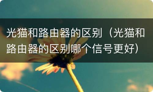 光猫和路由器的区别（光猫和路由器的区别哪个信号更好）