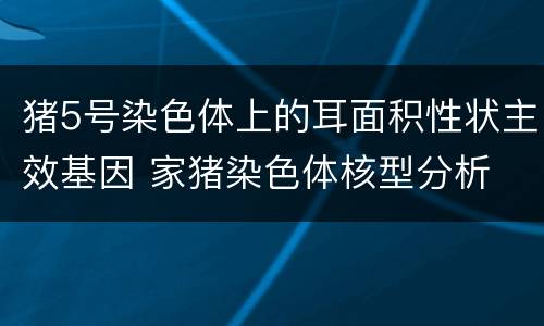 猪5号染色体上的耳面积性状主效基因 家猪染色体核型分析