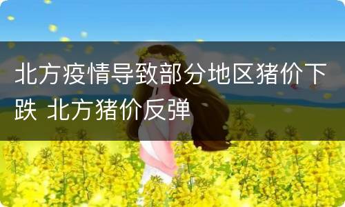 北方疫情导致部分地区猪价下跌 北方猪价反弹