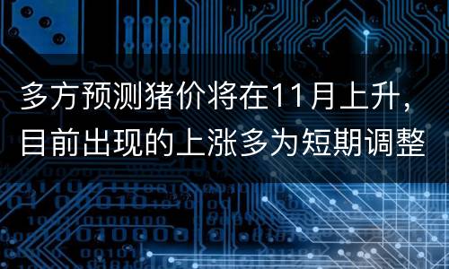 多方预测猪价将在11月上升，目前出现的上涨多为短期调整