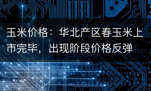玉米价格：华北产区春玉米上市完毕，出现阶段价格反弹