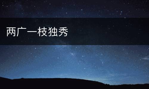 两广一枝独秀