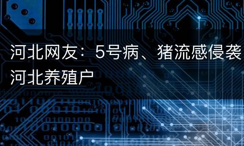 河北网友：5号病、猪流感侵袭河北养殖户