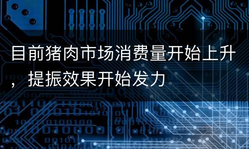 目前猪肉市场消费量开始上升，提振效果开始发力