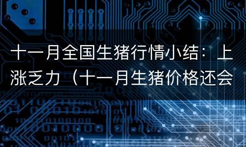 十一月全国生猪行情小结：上涨乏力（十一月生猪价格还会上涨吗?）