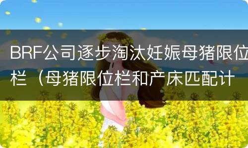 BRF公司逐步淘汰妊娠母猪限位栏（母猪限位栏和产床匹配计算方法）