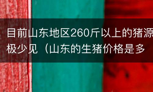 目前山东地区260斤以上的猪源极少见（山东的生猪价格是多少钱一公斤）