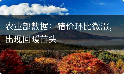 农业部数据：猪价环比微涨，出现回暖苗头