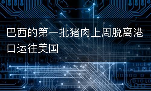 巴西的第一批猪肉上周脱离港口运往美国