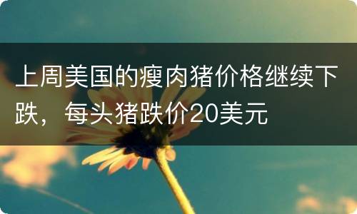 上周美国的瘦肉猪价格继续下跌，每头猪跌价20美元