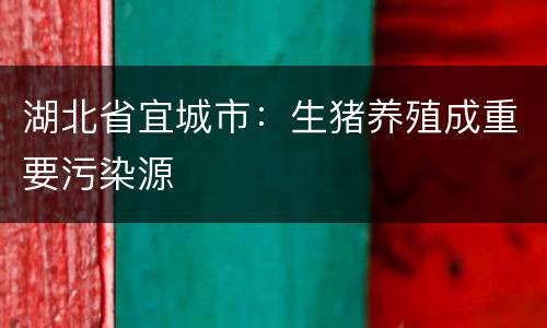 湖北省宜城市：生猪养殖成重要污染源