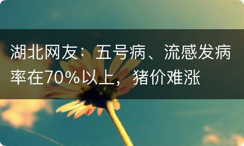 湖北网友：五号病、流感发病率在70％以上，猪价难涨